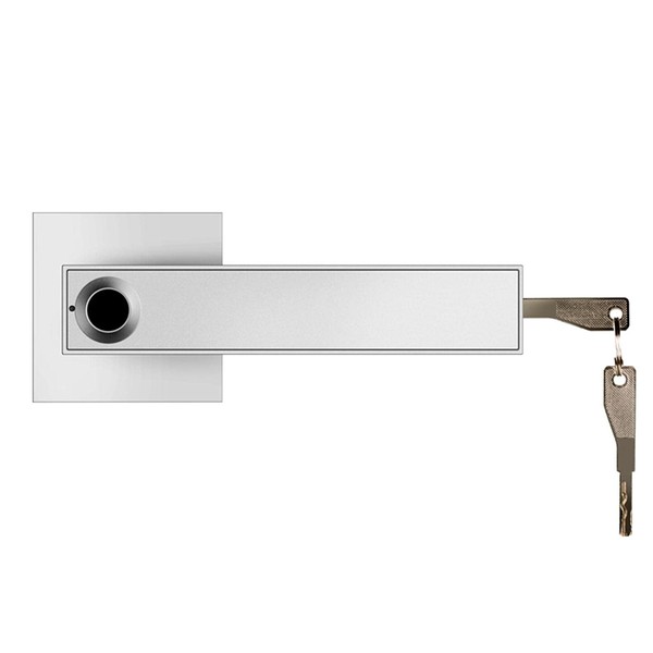 GEZICHTA Fingerprint Door Lock, Smart Biometric Lock Safe Handle Keyless Entry Door Locks Electronic Lever Door Lock for Family Residence Apartment Office Private Door(Silver), free size