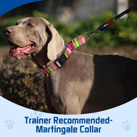 Kazazoo Martingale Collar for Dogs with Quick Release Buckle Adjustable Soft Durable Dog Collar for Small Medium Large No Pull Training Dog Collars-Rainbow L