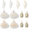 SUNNYCLUE 1 Box 24Pcs 6 Styles Conch Shell Charm Seashell