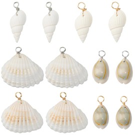SUNNYCLUE 1 Box 24Pcs 6 Styles Conch Shell Charm Seashell Charms Bulk Natural Summer Real Cowrie Mixed Ocean Beach Pendants for Jewellery Making Findings DIY Necklaces Bracelets Earrings Crafts Adults