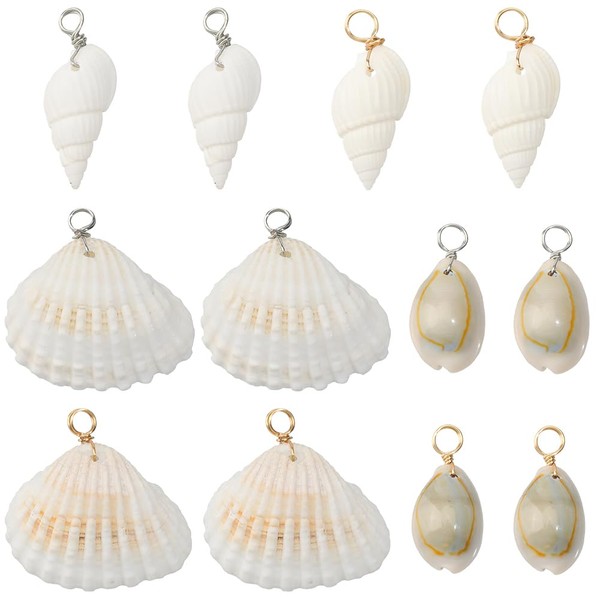 SUNNYCLUE 1 Box 24Pcs 6 Styles Conch Shell Charm Seashell