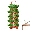 Strawberry Hanging Planter Upside Down,Tomato 4/8 Planting Holes Strawberry Grow