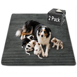 FunFurry Flannel Washable Pee Pad for Dogs - 2 Pack Reusable Dog Pee Pads Extra Large, Fast Absorb Pet Playpen Mat with Non-Slip Back, Waterproof Puppy Training Pad. (Dark Grey, 48" X 48")