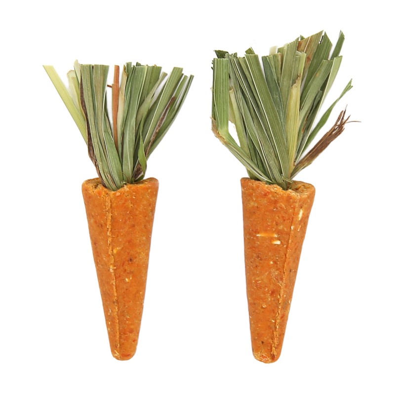 20pcs Carrot Shaped Hamster Toy Teeth Grinding Decorative Crude Fiber
