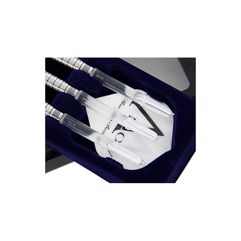 DYNASTY A-FLOW SILVER LINE EARTH SALVIA サルビア 2BA ソフトダーツ バレル