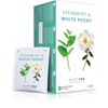 Nutra Tea - Spearmint & White Peony – Spearmint Tea