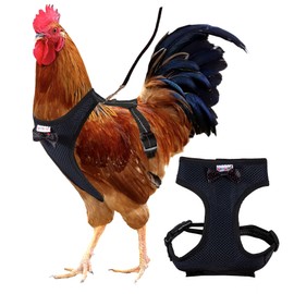 Yesito Adjustable Chicken Harness Diaper (5.4ft Leash) – Breathable & Washable Secure Training for Hens, Ducks & Chicks | Outdoor Walking & Discipline Solution,red