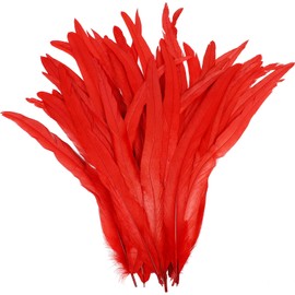 HaiMay 70 Pieces Red Feathers for Craft Clothes Wedding Home Party Decorations, 12-14 Inches Long Rooster Feathers Natural Large Rooster Tail Feathers Bulk Red Craft Feathers