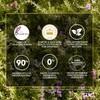 HERBAL ESSENCES Bio:Renew, Acondicionador Rosemary & Herbs, Sin Parabenos ni