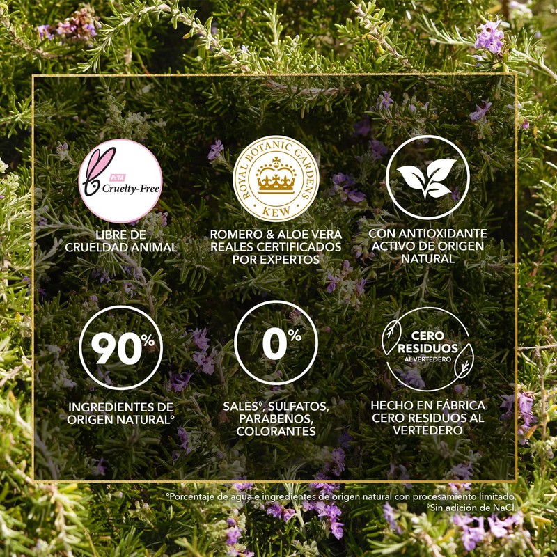 HERBAL ESSENCES Bio:Renew, Acondicionador Rosemary & Herbs, Sin Parabenos ni