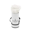 PARIS EN ROSE Rose Box with White Infinity Roses, Size