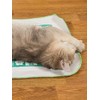 Nekomote Cat Toy, Surisuri Nya, 1 Sheet