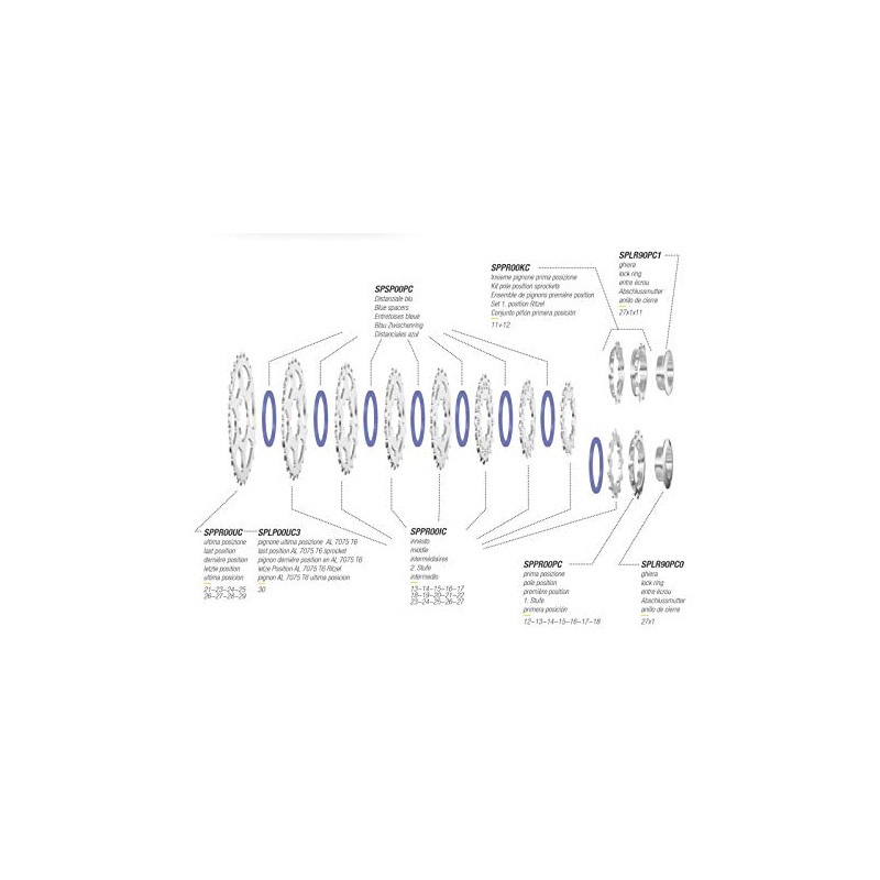 Miche Unisex's Primato 10 Speed Cassette, Campagnolo, 12/25