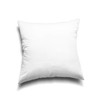 EDOW Throw Pillow Insert, Lightweight Soft Polyester Down Alternative Decorative Pillow,
