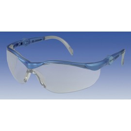 Georg Schmerler Model 620 Colourless Safety Glasses