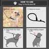 Dog Slip Leads Leash, 4.5FT Durable Puppy Rope Leashes Collar