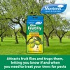 Monterey Olive Fruit Fly Trap and Lure
