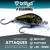 trifyd ® - Swimming Fish Trout Cranckbait 4cm Trout Box