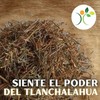 Xenatural - Té TLANCHALAHUA - Infusion Natural Herbal - Excelente