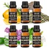 Essential Oil Refill Set for Car and Home Diffusers, 6