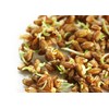 Food to Live Hard Red Wheat Berries, 1 Pound –