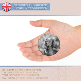 Destination Vinyl ltd Magnet for Refrigerator, Fridge BW - Cute Dachshund Dog Puppy Pet for Office, Cabinet and Whiteboard, Magnetic Stickers, 36927