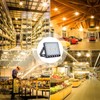 Fairyland LED Spotlight with Plug, 10 W, 20 W, 30