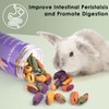 ERKOON Chinchilla Treats, Chew Toys for Teeth for Rabbit Guinea