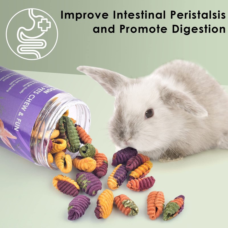 ERKOON Chinchilla Treats, Chew Toys for Teeth for Rabbit Guinea