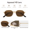 Appassal Retro Oval Sunglasses for Women Y2k 90s Sunnies Trendy