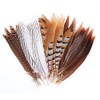 12pcs Natural Pheasant Feathers 4 Style 20-25cm Natural Feathers for