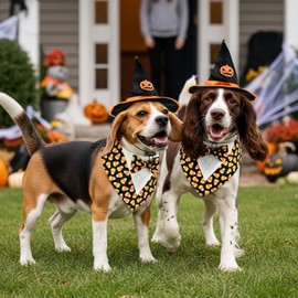 ShuRung - Disfraz de perro de maíz de caramelo, esmoquin ajustable con sombrero de bruja negro, disfraz de Halloween para cachorros, disfraces de Halloween, carnaval, disfraces temáticos para gatos