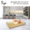 Tizo Design Elegant Lucite Tray, 12" x 8" Acrylic, Multiple