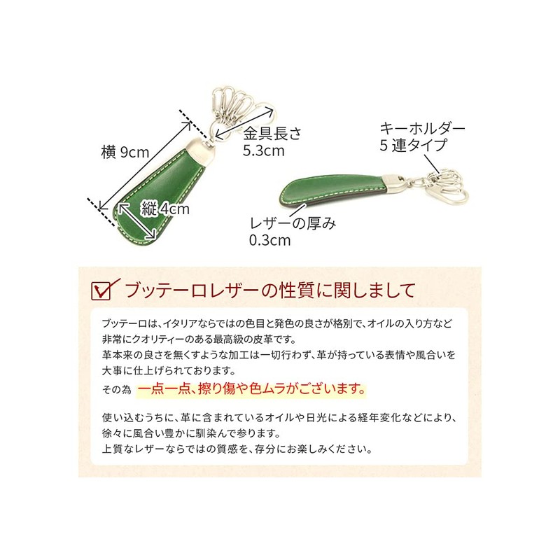 Bodessan BD-VT-SHOE Keychain with Shoehorn, Black