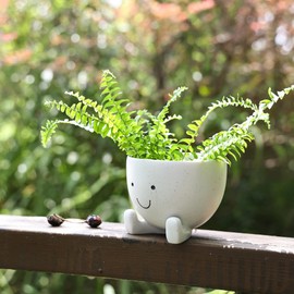 AIMEBBY Face Flower Pot Face Head Planter for Indoor Plants Succulent Planters with Drainage Hole Resin Planter 4 Inches