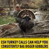 ESH Pileated Woodpecker Turkey Call for Hunting - Turkey Locator