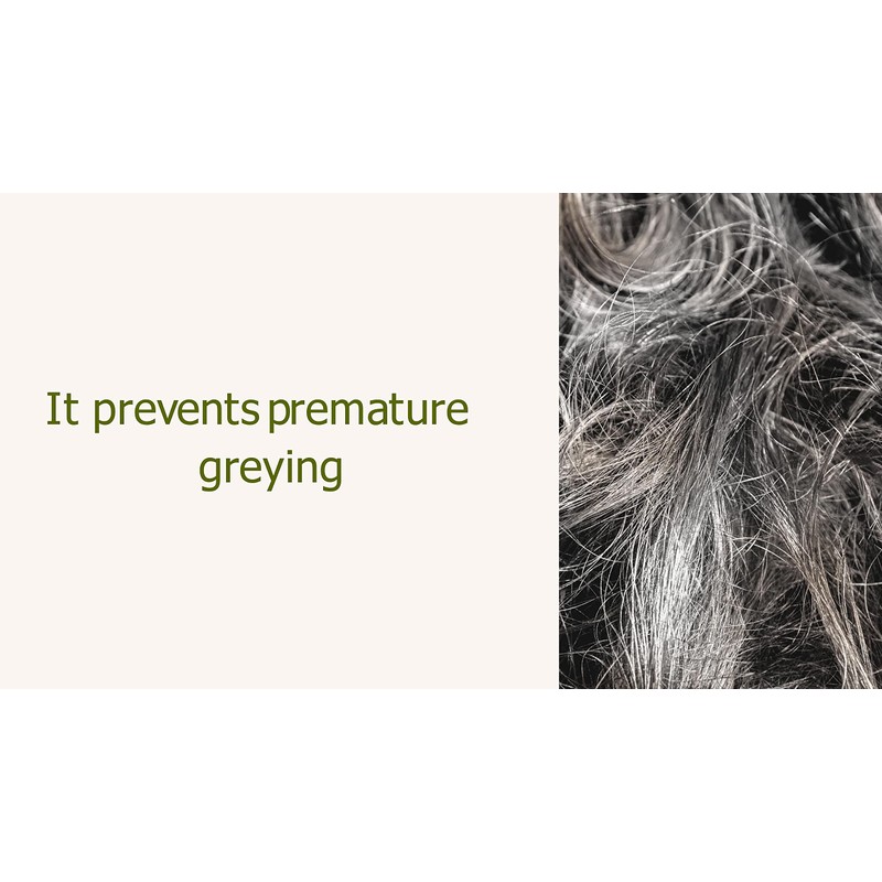Yauvanya Pure Amla (Indian Gooseberry) Powder for Hair 3 x