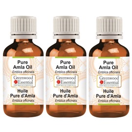 Greenwood Essential Pure Amla Oil (Emblica officinalis) Therapeutic Grade for Hair, Skin and Aromatherapy (Pack of Three) 100ml x 3 (10oz)