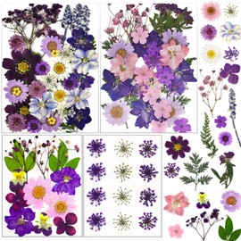 LUCISKY 92 Pcs Purple Dried Pressed Flowers Real Natural Leave Petals for DIY Resin Candle Jewelry Nail Crafts