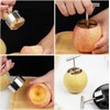 2 Piezas Descorazonador de Manzanas Acero Inoxidable