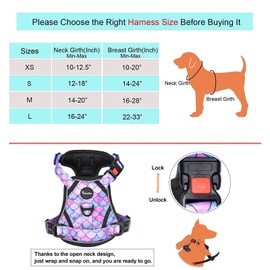 Petmolico No Pull Dog Harness and Leash Set, No Choke 4 Leash Attchments Easy Control Handle Soft Padded Reflective Vest Dog Harness for Medium Dog Breed, Mermaid Style Medium