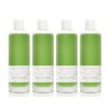 Wonder Bath 조성아 원더바스 어성초 청결 세럼 140ml 4개 JOSONGA Wonderbalks Mugwort Cleansing Serum 140ml 4pcs