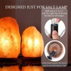 Parts Express Himalayan Salt Lamp Bulbs Original Salt Lamp, 6Pack