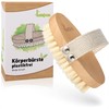 Oval Body Brush without Plastic, Dry Brush, Exfoliating Brush, Massage