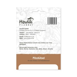 Hawlik Pilzbrut - Growing Shiitake Mushrooms on Wood & Tree Trunks - Grow Fresh Mushrooms Easily - 20 Mushroom Dowels with Mycelium for Breeding on Wood