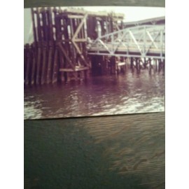 WASHINGTON STATE FERRIES 5 X 7 COLOR PRINT BREMERTON WASHINGTON VINTAGE FERRY LA