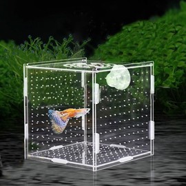 PINVNBY Acrylic Fish Breeding Box, Fish Separator for Aquarium, Acrylic Hatchery Incubator Tank with Suction Cups, Fish Tank Isolation Box for Baby Fish Shrimp Betta and Guppy（3.9 x 3.9 x 3.9 inches）