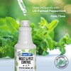 Mighty Mint Peppermint Oil Insect Repellent Spray – Natural Indoor