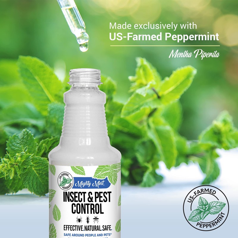 Mighty Mint Peppermint Oil Insect Repellent Spray – Natural Indoor