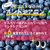 【リプサ公式】 輝きビルベリー 約3か月分 C-136 アントシアニン サプリメント
